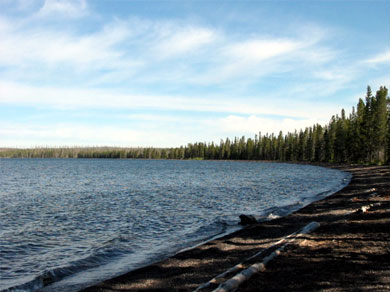 More water in the park